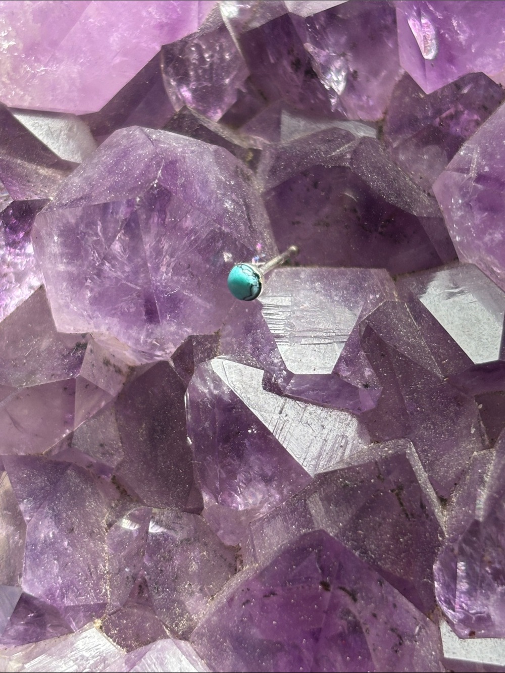 Turquoise Bone Nose Stud